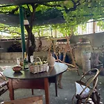 Casa Del Pernambuco - Ptl205 By Interhome Ranzi
